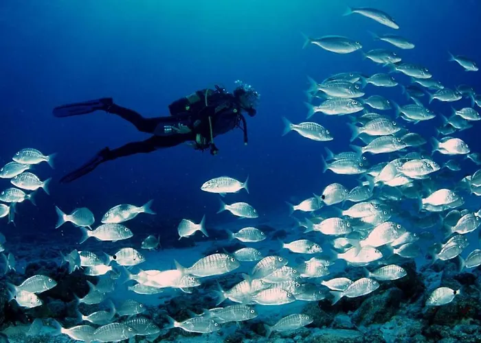 Ξενοδοχείο Llobeta L'Ametlla de Mar
